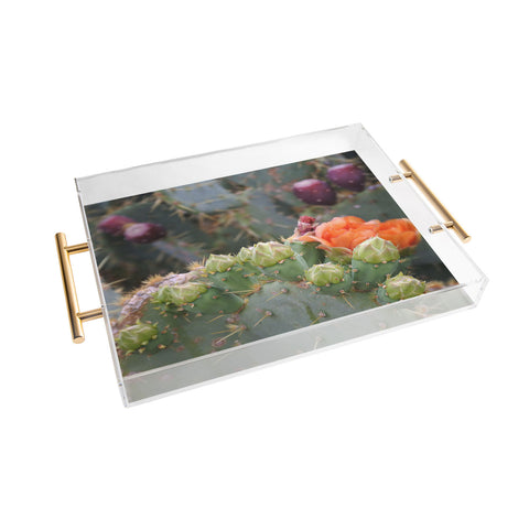Lisa Argyropoulos Budding Prickly Pear Acrylic Tray