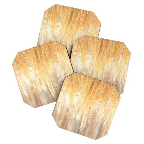 Lisa Argyropoulos Bungalow Coaster Set