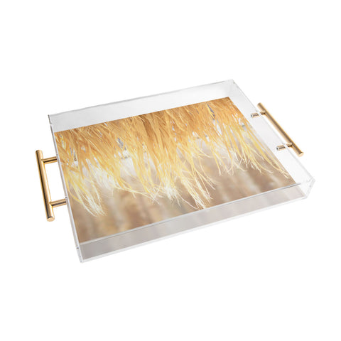 Lisa Argyropoulos Bungalow Acrylic Tray