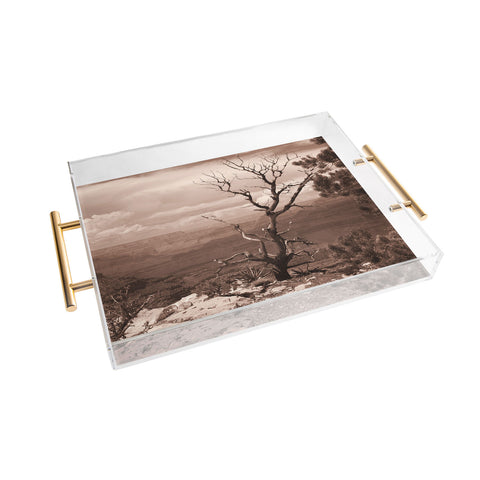 Lisa Argyropoulos Canyon Ghost Warm Sepia Acrylic Tray