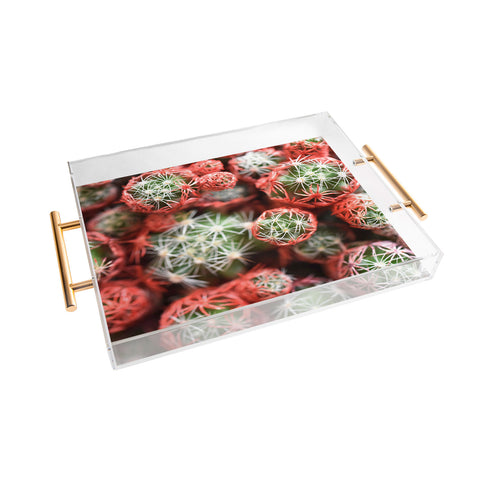 Lisa Argyropoulos Desert Planets Acrylic Tray