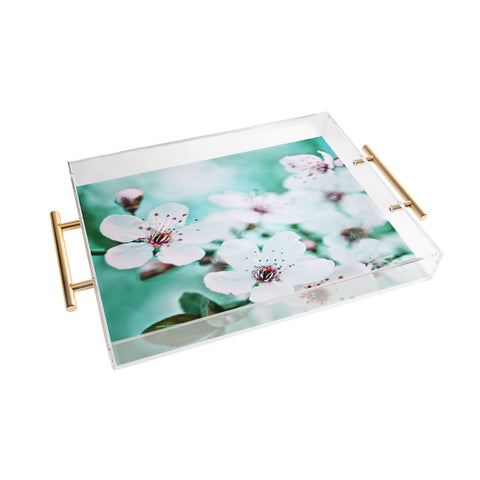 Lisa Argyropoulos Echo Acrylic Tray