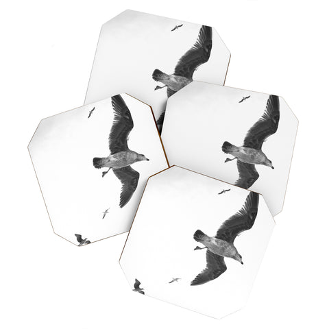Lisa Argyropoulos Flight of Fancy Monochrome Coaster Set