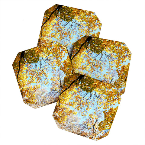 Lisa Argyropoulos Golden Autumn Coaster Set