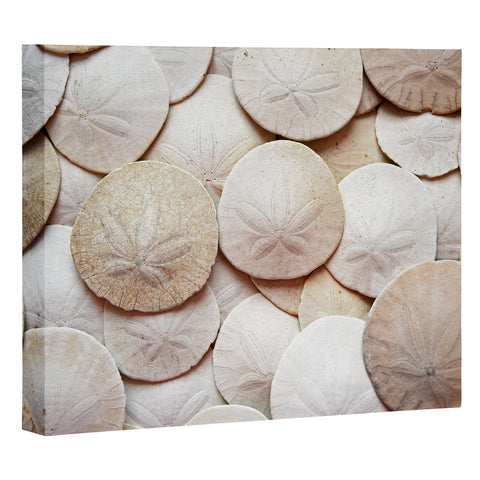 Lisa Argyropoulos Jewels of the Sea Art Canvas