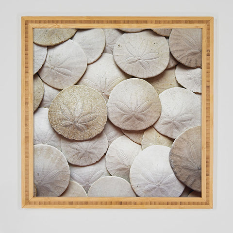 Lisa Argyropoulos Jewels of the Sea Framed Wall Art