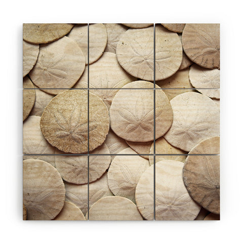 Lisa Argyropoulos Jewels of the Sea Wood Wall Mural