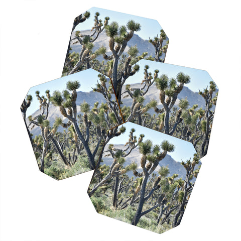 Lisa Argyropoulos Joshuas Coaster Set