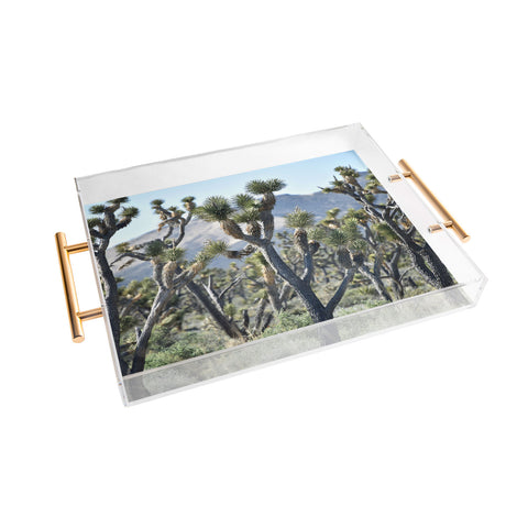 Lisa Argyropoulos Joshuas Acrylic Tray