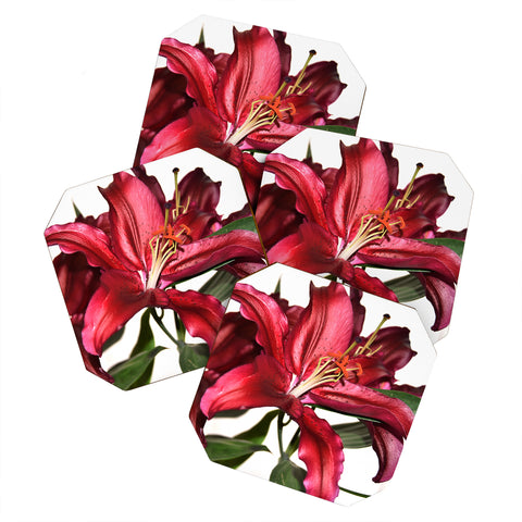 Lisa Argyropoulos Lily De Burgundy Coaster Set