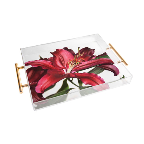 Lisa Argyropoulos Lily De Burgundy Acrylic Tray