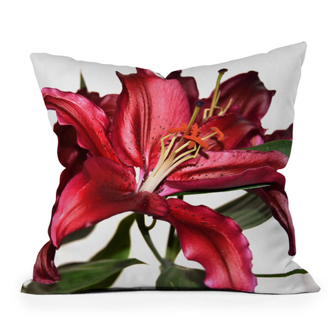 Lisa Argyropoulos Lily De Burgundy Outdoor Throw Pillow