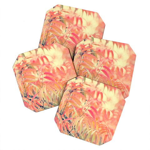 Lisa Argyropoulos Mystify Coaster Set