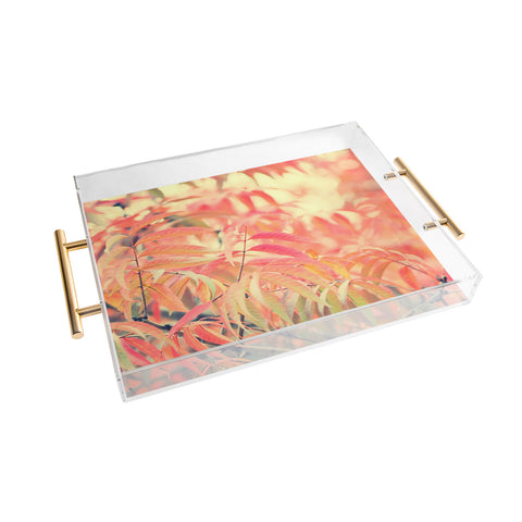 Lisa Argyropoulos Mystify Acrylic Tray