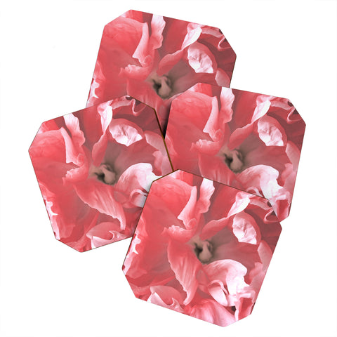 Lisa Argyropoulos Peony Blush Coaster Set