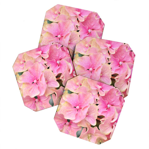 Lisa Argyropoulos Pink Hydrangeas Coaster Set