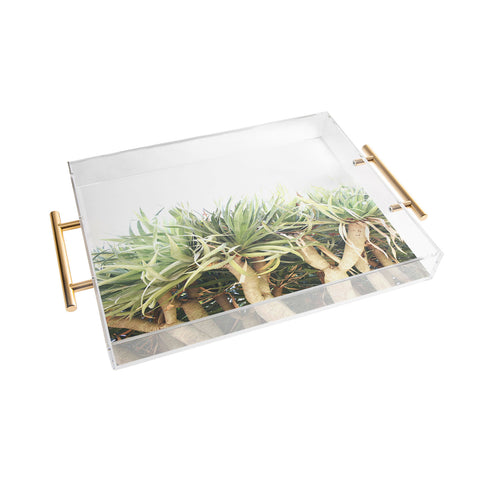 Lisa Argyropoulos Prehistoric Jungle Acrylic Tray