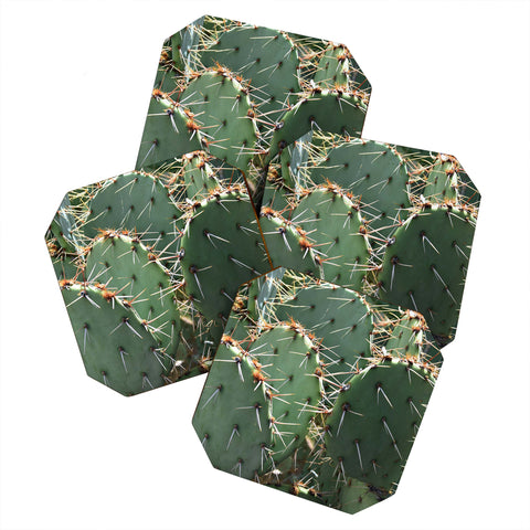 Lisa Argyropoulos Prickly Coaster Set