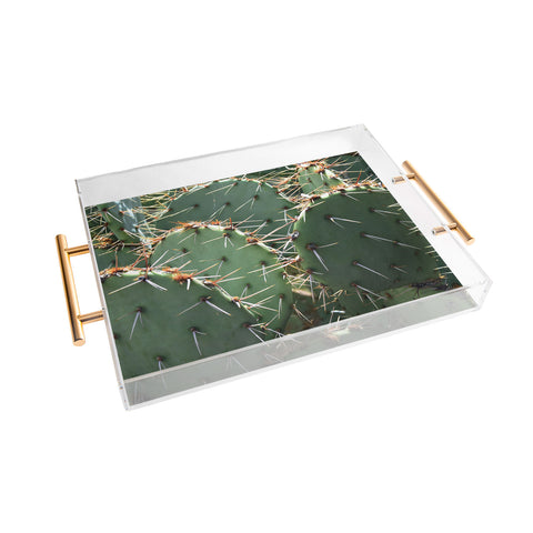 Lisa Argyropoulos Prickly Acrylic Tray