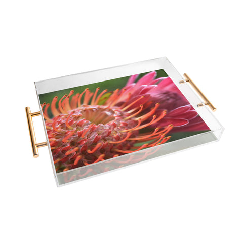 Lisa Argyropoulos Proteas Acrylic Tray