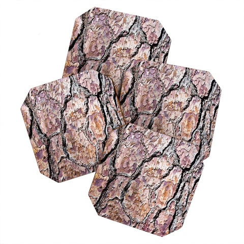 Lisa Argyropoulos Rugged Bark Coaster Set