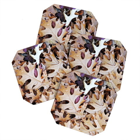 Lisa Argyropoulos Rustic Autumn Coaster Set