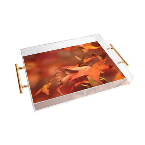 Lisa Argyropoulos Rustic Acrylic Tray
