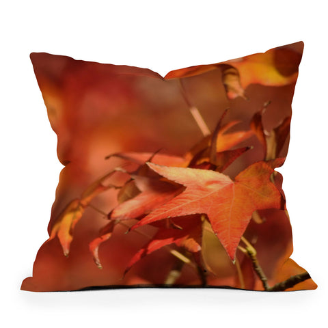 Lisa Argyropoulos Rustic Outdoor Throw Pillow