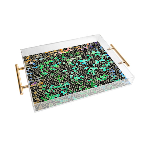 Lisa Argyropoulos Seekers Acrylic Tray