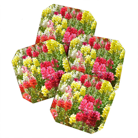 Lisa Argyropoulos Snappies Coaster Set