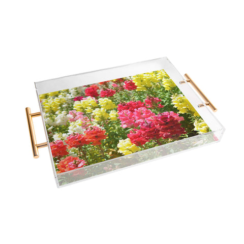 Lisa Argyropoulos Snappies Acrylic Tray