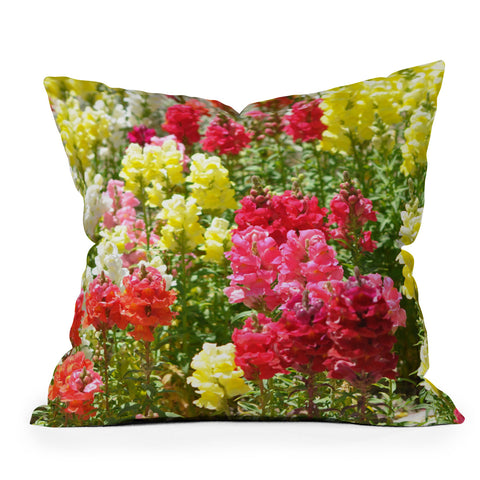 Lisa Argyropoulos Snappies Outdoor Throw Pillow