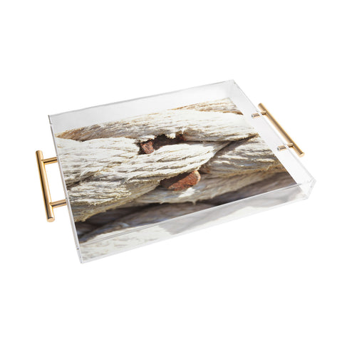 Lisa Argyropoulos Twisted Acrylic Tray