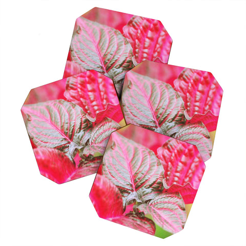 Lisa Argyropoulos Vibrant Coaster Set