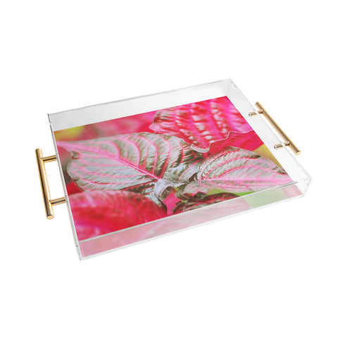 Lisa Argyropoulos Vibrant Acrylic Tray