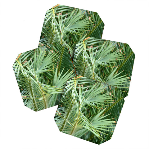 Lisa Argyropoulos Whispered Fronds Coaster Set