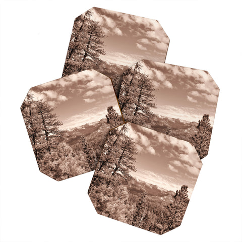 Lisa Argyropoulos Yosemite View Warm Sepia Coaster Set