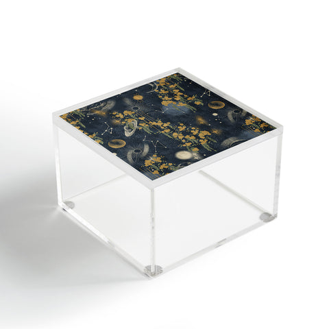 LouBruzzoni Midnight forest Acrylic Box