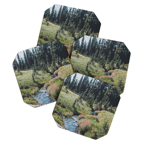 Luke Gram Garibaldi Provincial Park Coaster Set