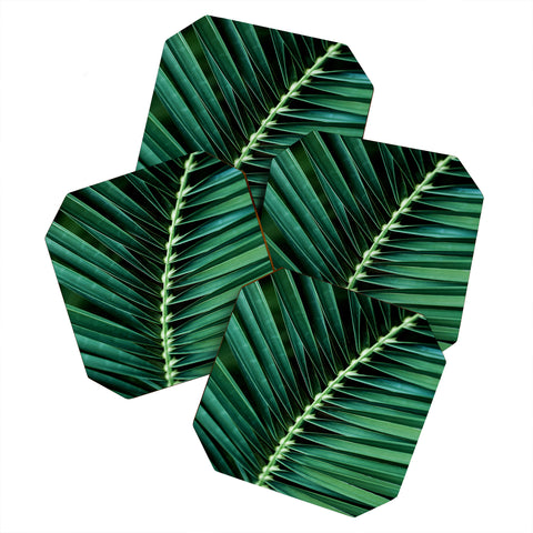 Mareike Boehmer Palm Leaves 14 Coaster Set