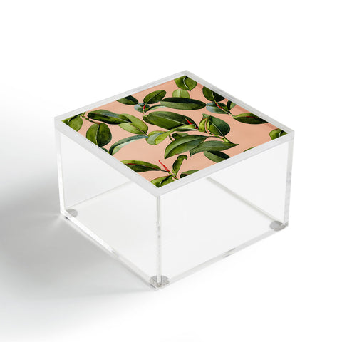 Marta Barragan Camarasa Botanical Collection 01 Acrylic Box