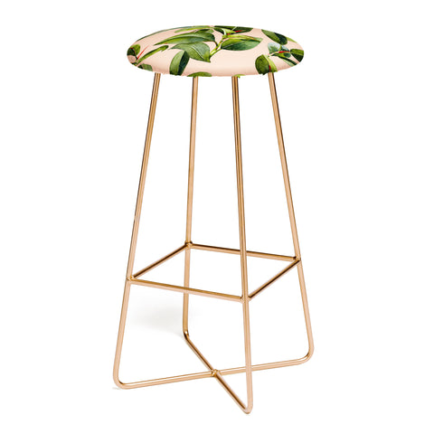 Marta Barragan Camarasa Botanical Collection 01 Bar Stool