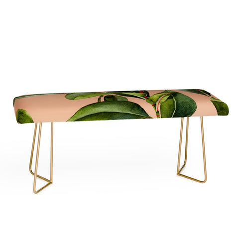 Marta Barragan Camarasa Botanical Collection 01 Bench