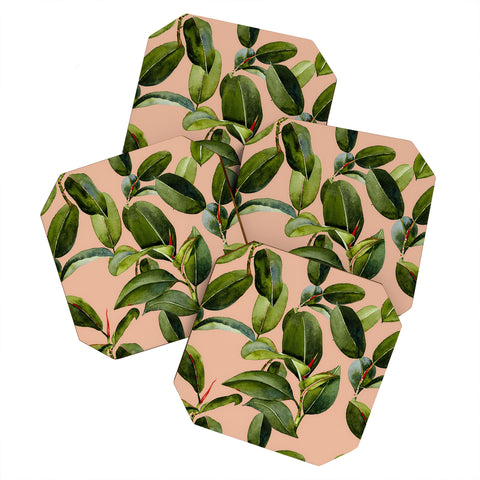 Marta Barragan Camarasa Botanical Collection 01 Coaster Set