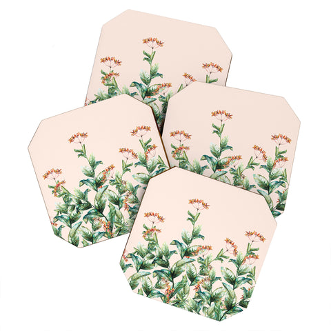 Marta Barragan Camarasa Botanical pink Coaster Set