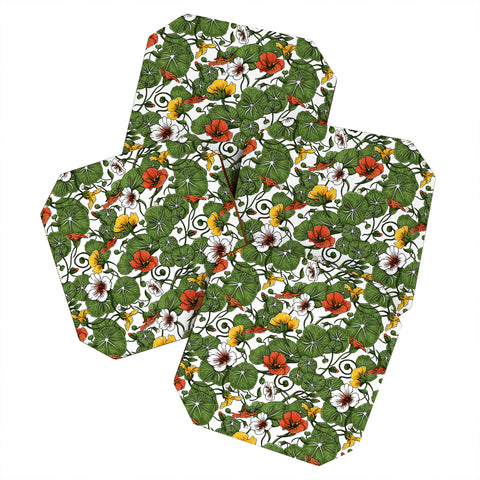 Marta Barragan Camarasa Flowering garden nasturtiums Coaster Set