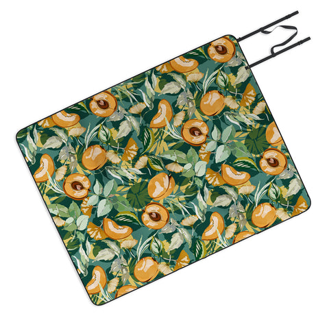 Marta Barragan Camarasa Succulent fruit of nature 22 Picnic Blanket