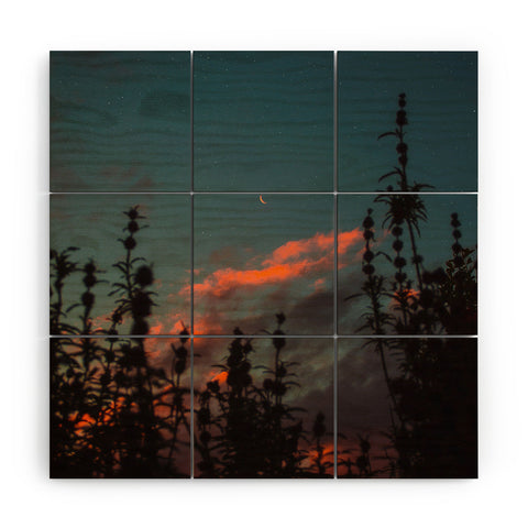 Matias Alonso Revelli burn Wood Wall Mural