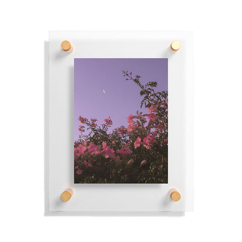 Matias Alonso Revelli podranea ricasoliana Floating Acrylic Print