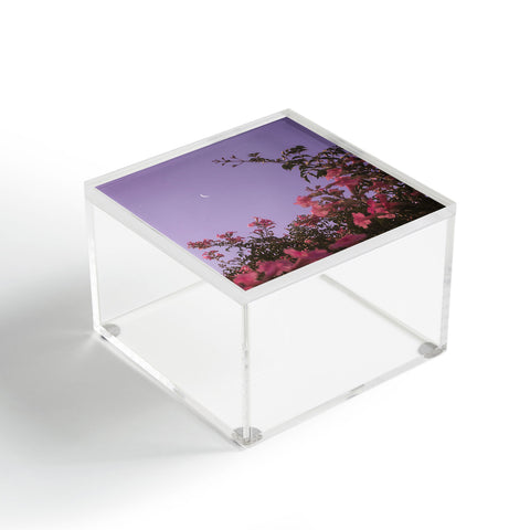 Matias Alonso Revelli podranea ricasoliana Acrylic Box